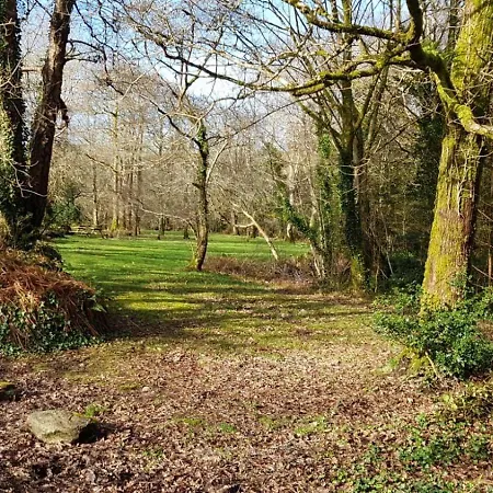 Ardnagashel Est No 8 * Ballylickey