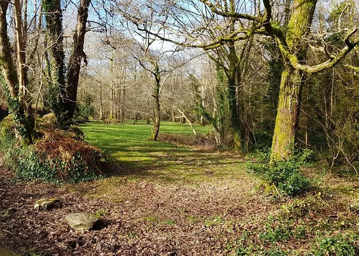 Ardnagashel Est No 8 * 반트리